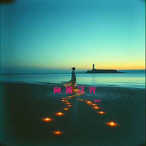 向风寻光