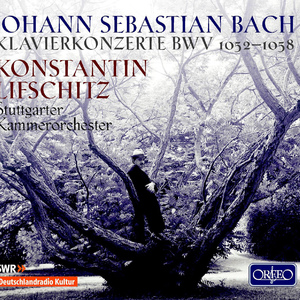 Keyboard Concerto in D Major, BWV 1054:II. Adagio e sempre piano