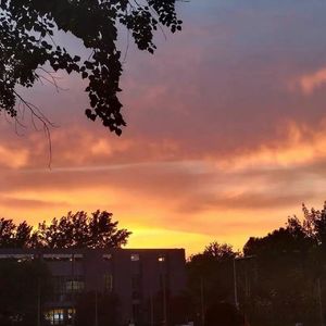 甜不了的苦 (烟嗓版)