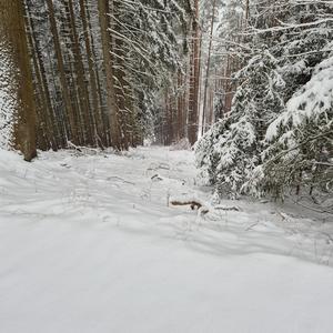 Weitergehen Nebelblick