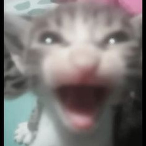 All The Things She Said (sped up)