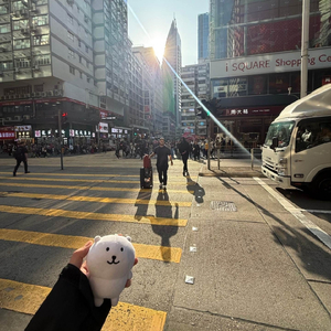 情深搁浅(伴奏)