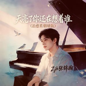 天亮了你还在想着谁（治愈糸烟嗓版）
