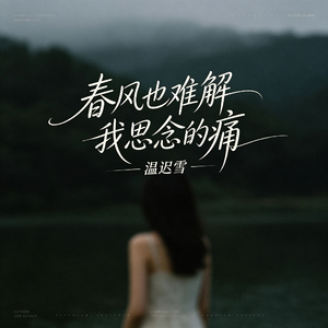 春风也难解我思念的痛
