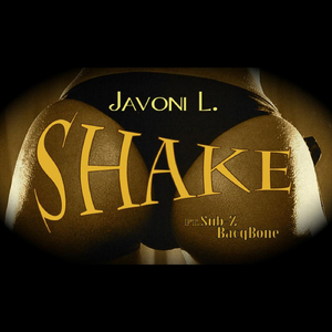 Shake (feat. Sub Z Bacqbone)