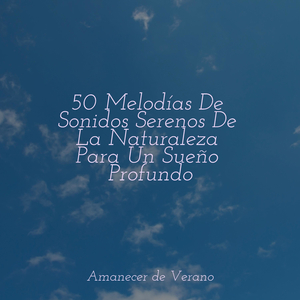 Ecos de Radiante Amargura