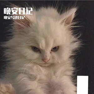小宇