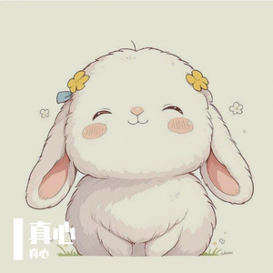 登顶的荣耀盛典