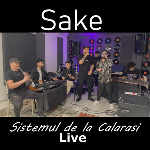 Sistemul de la Calarasi (Live)