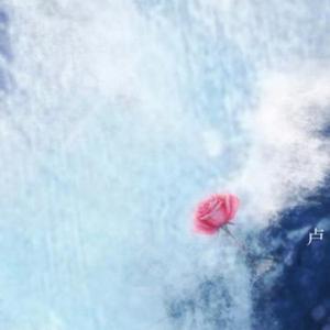 别让爱凋落 (Mylove 请别让爱凋落)