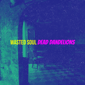 Wasted Soul