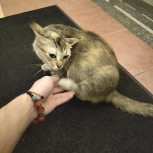 我应该不会忘记你