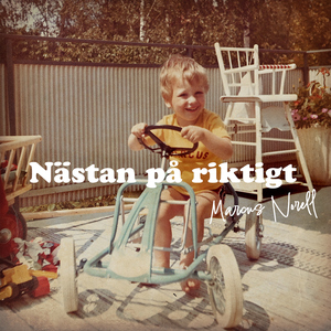 Skärvan i spegelbilden