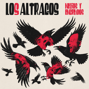 Viviendo en la Insensatez