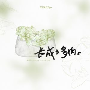 长成了多肉