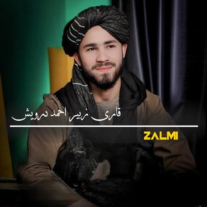 Zalmi