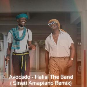 Avocado (feat. Halisi The Band) (Amapiano Remix)