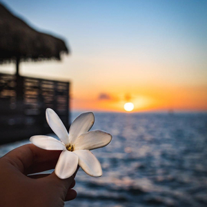 Fade Away (feat. Maere)