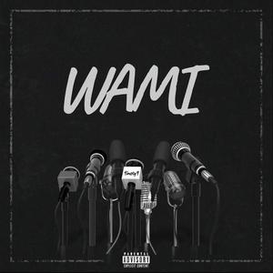 WAMI
