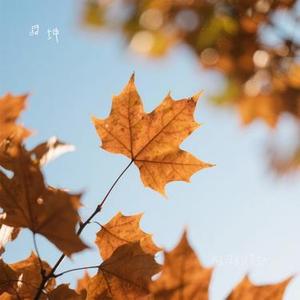 难渡的情劫 (Cover 任夏)