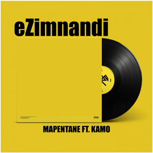 eZimnandi (feat. kamo) (original mix)