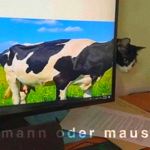 Mann Oder Maus