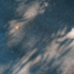 滅びの歌 (feat. 音楽的同位体 裏命)