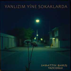 Yanlizim Yi̇ne Sokaklar Da