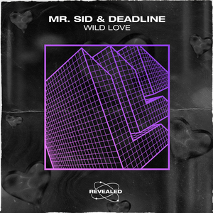 Wild Love (Extended Mix)
