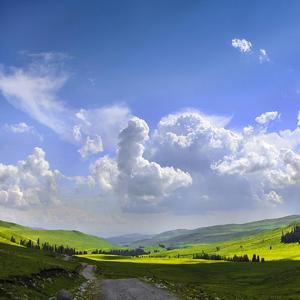 《梦中的草原》