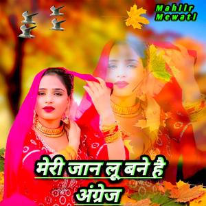 MERI JAAN LU BANE HAI ANGREJ