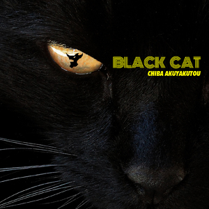 BLACK CAT