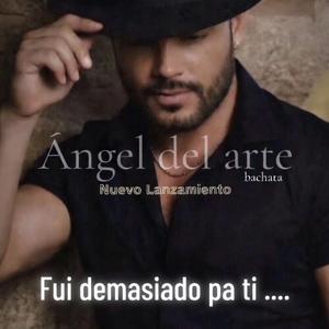 Fui demasiado pá ti