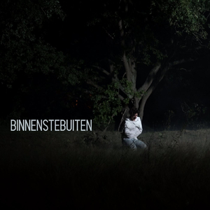 Binnenstebuiten