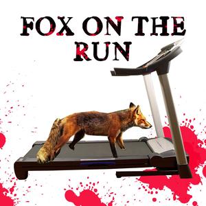 Fox on the Run