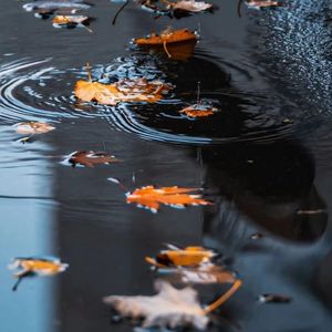 晚安（Cover：鹿先森乐队）