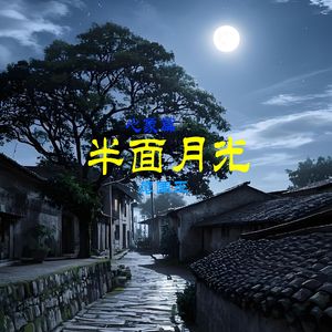 331 半面月光