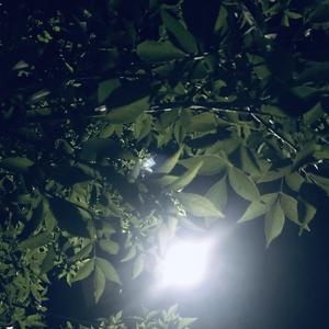 没有理想的人不伤心（翻自 新裤子）