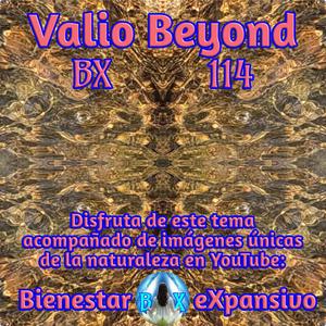 BX 114 Atípico