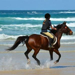 我真的不想哭 伴奏