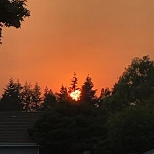 Momentum (feat. RuztyJay)