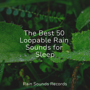 The Murky Melody of Croak Creek