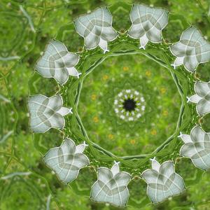 As our senses evolve