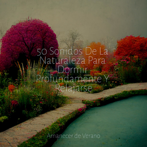 Huellas Fantasmales Reveladas