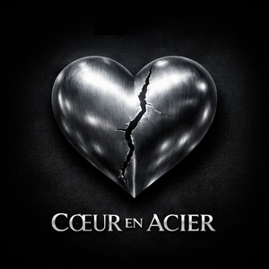 COEUR EN ACIER
