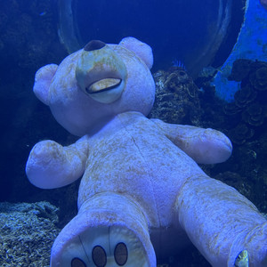 你离开之后我只能一个人去水族馆.mp3