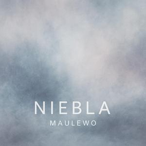 Niebla