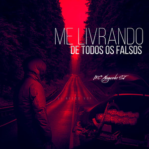 Me Livrando de Todos os Falsos