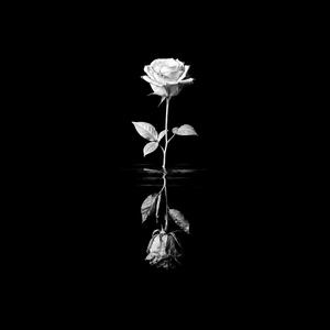 Intentions (prologue)