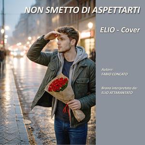 NON SMETTO DI ASPETTARTI